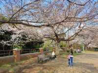 Negishi Forest Park