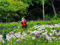 Just 320 yen for Iris Garden