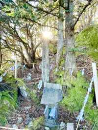 【御岩神社/茨城県】188柱もの神様を祀る神社