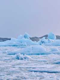 冰島🇮🇸| Jokulsarlon 冰河湖看最純淨的藍