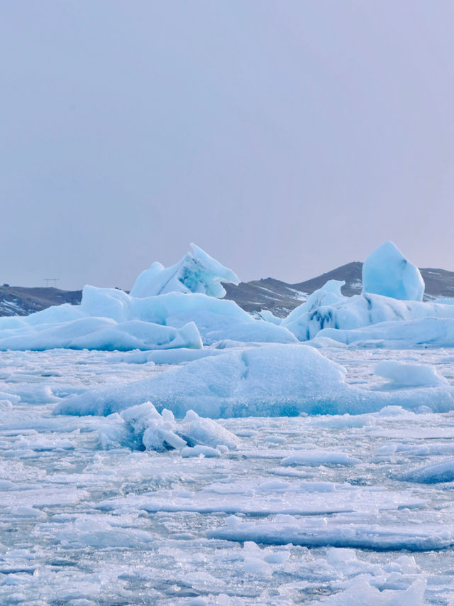 冰島🇮🇸| Jokulsarlon 冰河湖看最純淨的藍