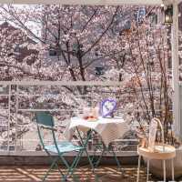 首爾合井櫻花咖啡廳：賞櫻好地方，美味咖啡甜品不容錯過