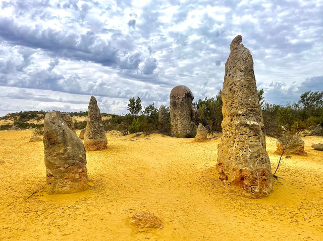 The Pinnacles Desert