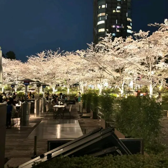 🌼 Night Flowering in Tokyo Midtown