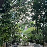 三巴旺公園：綠意盎然，感受新加坡城市綠化成就