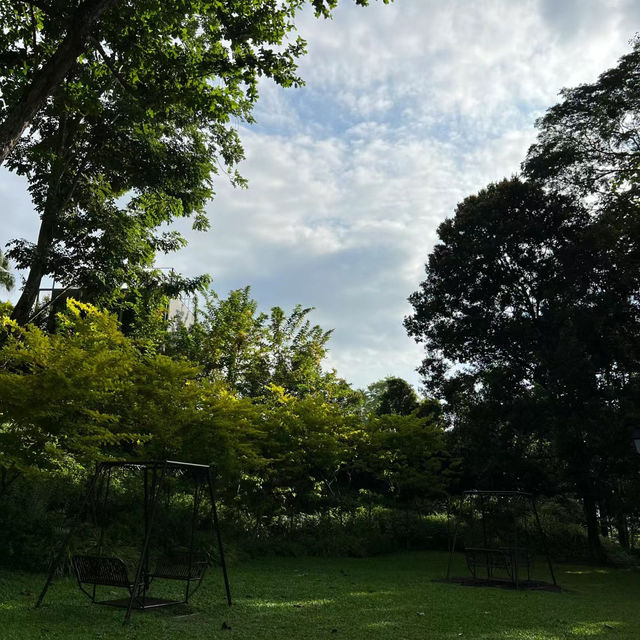 三巴旺公園：綠意盎然，感受新加坡城市綠化成就