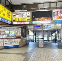 【JR西日本宮島フェリー/広島県】海から弥山と大鳥居を望むフェリー