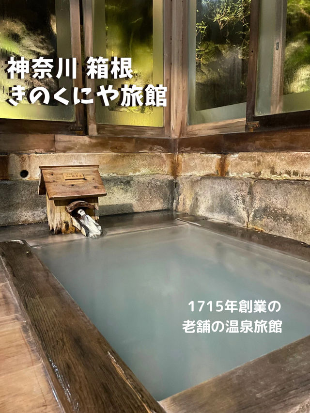 【神奈川 箱根】1715年創業の箱根の老舗旅館♨️きのくにや旅館