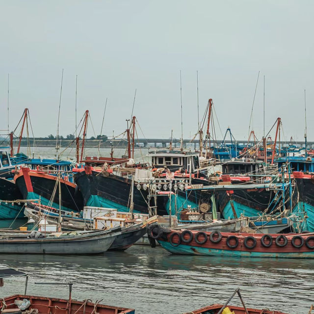 「龜吼漁港：海鮮美食，特色小攤體驗」