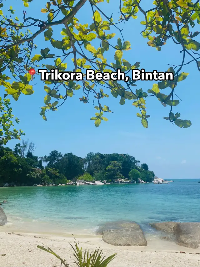 🇮🇩Hidden Paradise in Trikora Beach, Bintan