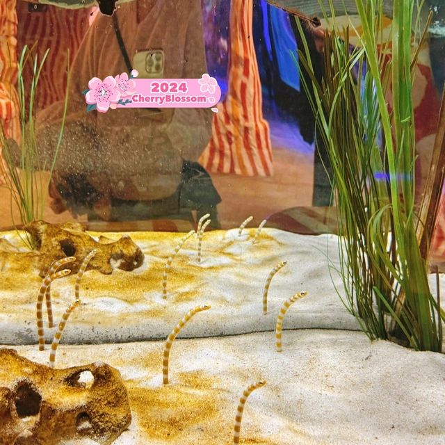 Sea Life Busan Aquarium in Korea 