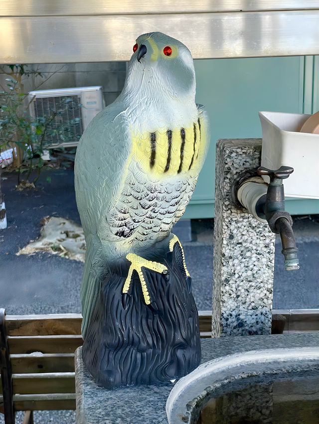 【上宮大澤神社/東京都】美しい竹林が見られる