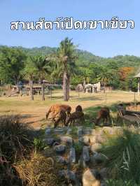 สวนสัตว์เปิดเขาเขียว