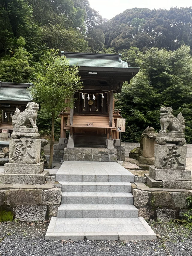 【北九州神社】看板猫に会えるかも？古代から続く神社