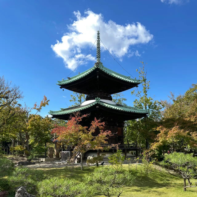 「龍正院」：高蹺藝術手法、獨特園景，春天好去處