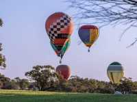 Windward Ballooning Perth (Avon Valley)