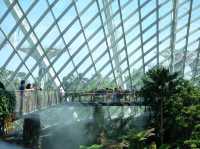เที่ยว Garden by the bay ที่สิงคโปร์ 