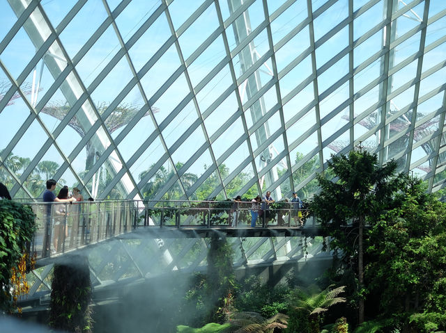 เที่ยว Garden by the bay ที่สิงคโปร์ 