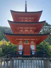 【京都】公式おすすめの絶景ポイント