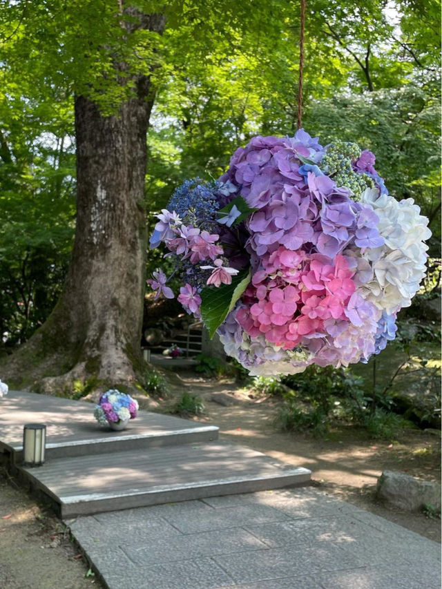 【福岡観光】有名アニメでも有名になった竈門神社