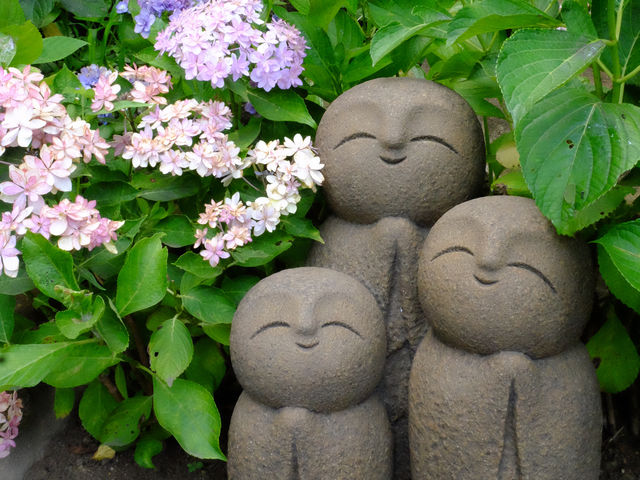 【東京近郊】‼️繡球花5月29日盛開見頃活動開始‼️@鎌倉長谷寺，六月必遊景點！