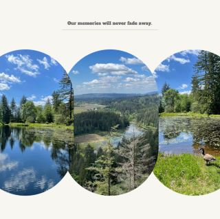 The Chase Nature Reserve⛲️湖光山色