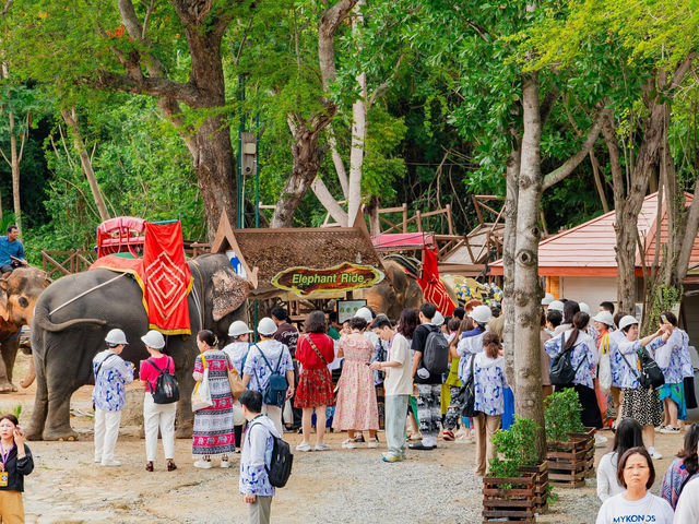 ปราสาทไม้แกะสลักทั้งหลังหนึ่งเดียวในโลก