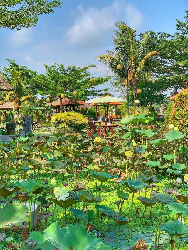 🇮🇩A Must-Visit Balinese Restaurant🇮🇩SAVE THIS💜