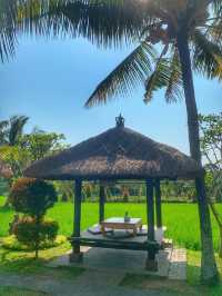 🇮🇩A Must-Visit Balinese Restaurant🇮🇩SAVE THIS💜
