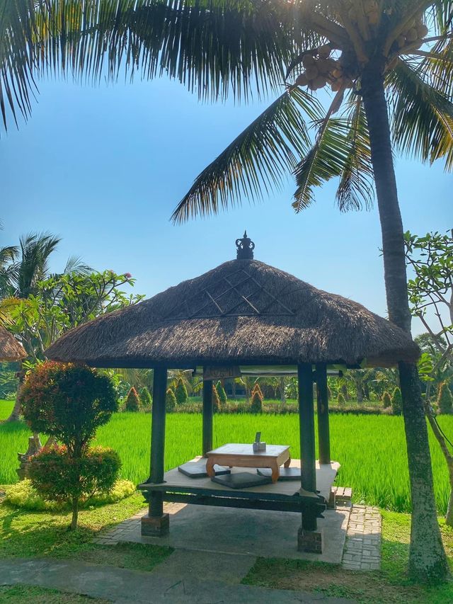 🇮🇩A Must-Visit Balinese Restaurant🇮🇩SAVE THIS💜