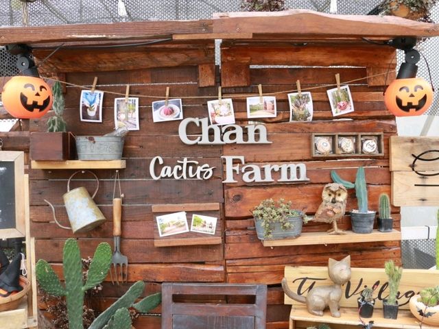 เที่ยวชม cactus ที่ Chan nature cafe 