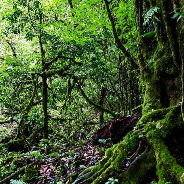 龍門山：四季風光，攝影愛好者的天堂
