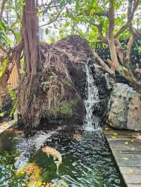 Bluekoof Udon คาเฟ่สวยสไตล์ญี่ปุ่น
