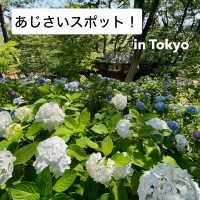 【Tokyo🇯🇵】多摩川台公園