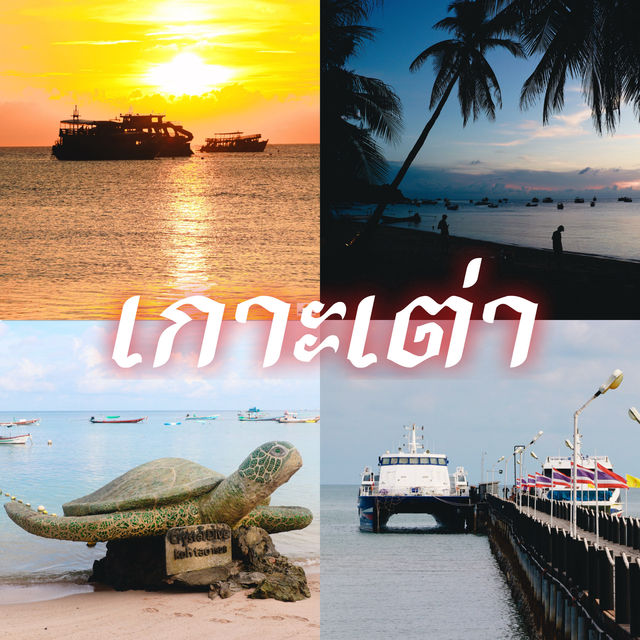 เกาะเต่า
