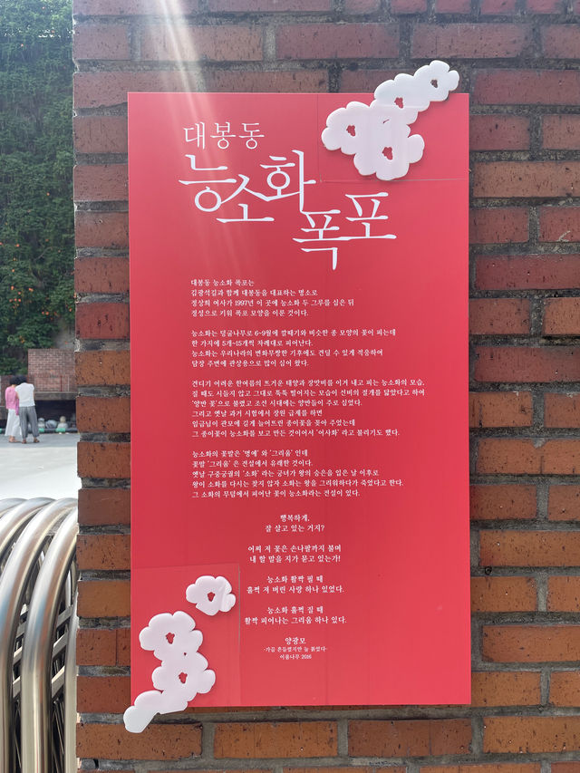 ✨실시간✨ 대구 능소화폭포 지금 가지마세요🤨