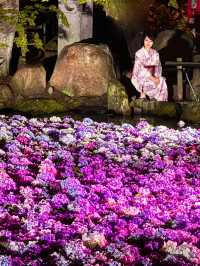 〜茨城県〜幻想的！7/7まで雨引き観音ライトアップ✨