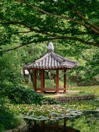 경남 사진찍기 좋은 여행지, 고성 장산숲🌳