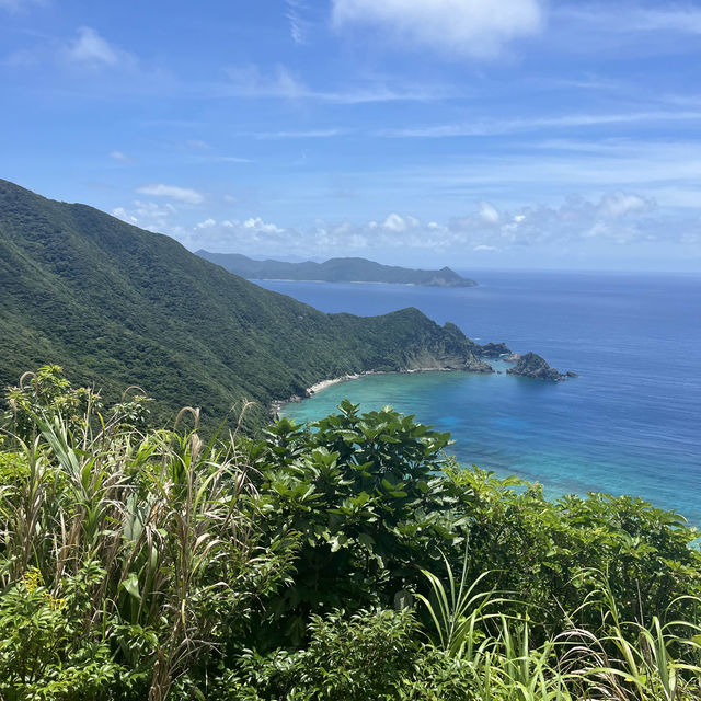 奄美 加計呂麻島🏝