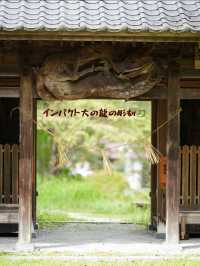 超話題の映えスポット！一度は見てみたい美しい白の千本鳥居🤍