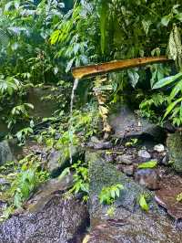 A hidden waterfall in Bali?! 