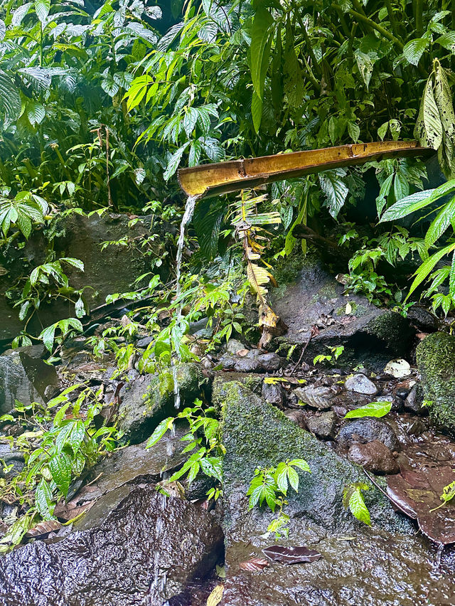 A hidden waterfall in Bali?! 