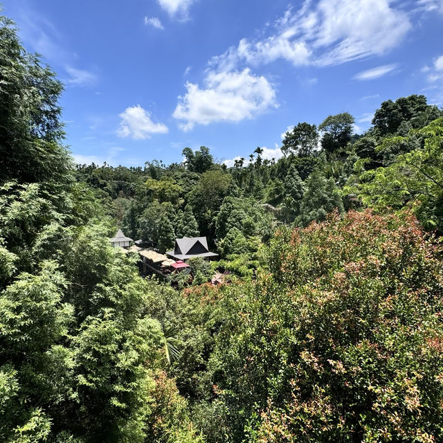 偽出國行程，古坑桂林映象會館