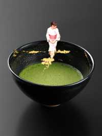 〜京都府〜ちゃづなミュージアム🍵