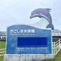 鹿兒島水族館-九州最大規模水族館，必看鯨鯊、水母與魔鬼魚
