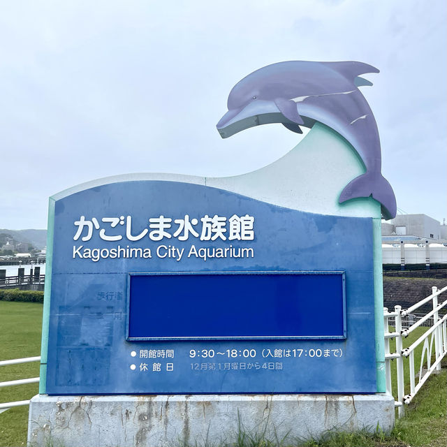 鹿兒島水族館-九州最大規模水族館，必看鯨鯊、水母與魔鬼魚