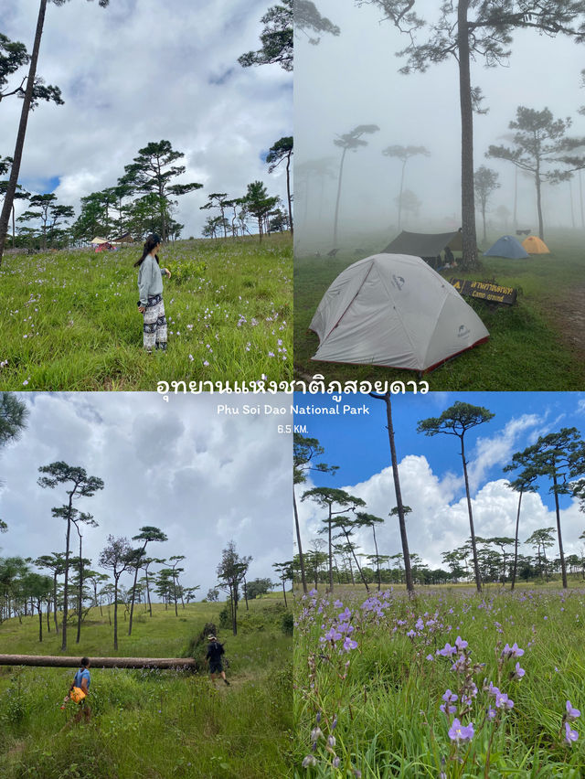 7 เส้นทางเดินป่าสำหรับมือใหม่ ⛰️🌦️🌳🥾