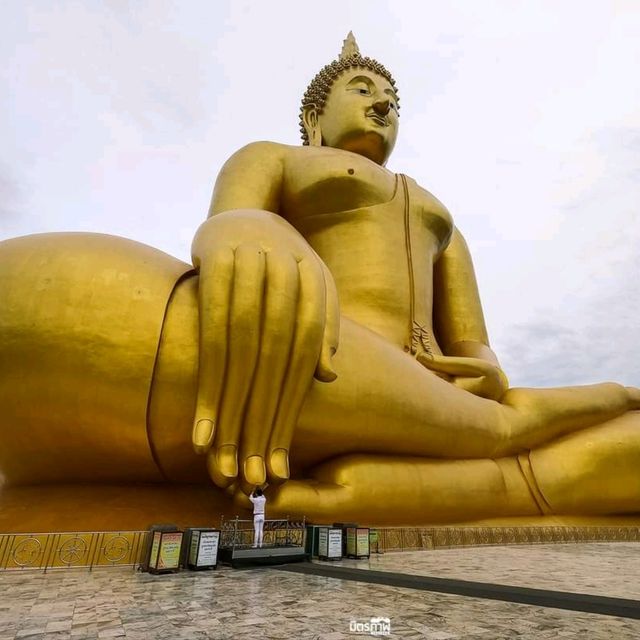 ไหว้พระ ทำบุญ วัดม่วง อ่างทอง