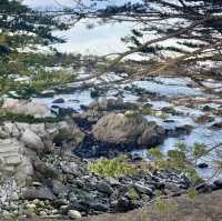 Exploring the 17-Mile Drive: A Scenic Coastal Journey