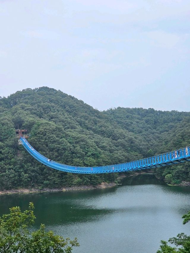 초평호 위의 아찔한🫣 출렁다리 